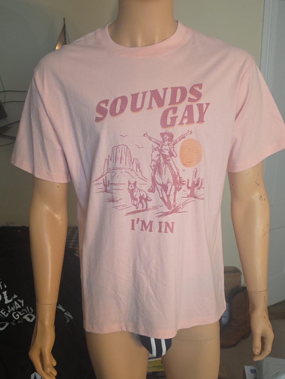 Men's Pink Graphic Crewneck Tee - 'Sounds Gay I'm In'